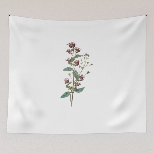 Item preview, Marjoram and Shepherds Purse Plants Print, Original Flower Print, Botanical Antique, Antique print, Foxglove Wall art, Foxglove Flower, Botanical Prints designed and sold by Studio66Designs.