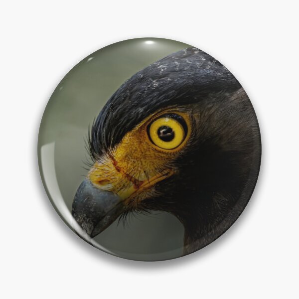Item preview, Worrier Serpant Eagle  designed and sold by Soban Raj.