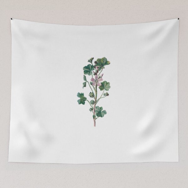 Item preview, Dwarf Mallow, Plants Print, Original Flower Print, Botanical Antique, Antique print, Foxglove Wall art, Foxglove Flower, Botanical Prints designed and sold by Studio66Designs.