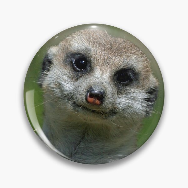 Item preview, Meerkat 013 designed and sold by JAMFoto.