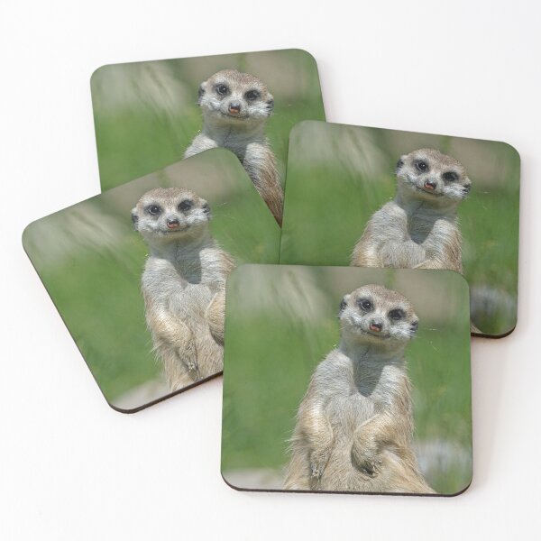Item preview, Meerkat 013 designed and sold by JAMFoto.
