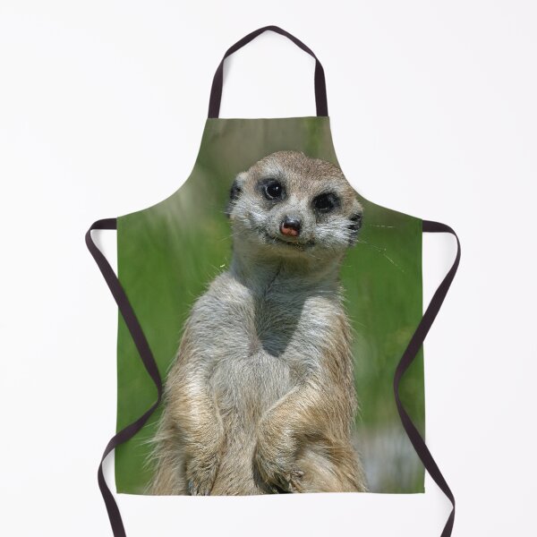 Item preview, Meerkat 013 designed and sold by JAMFoto.