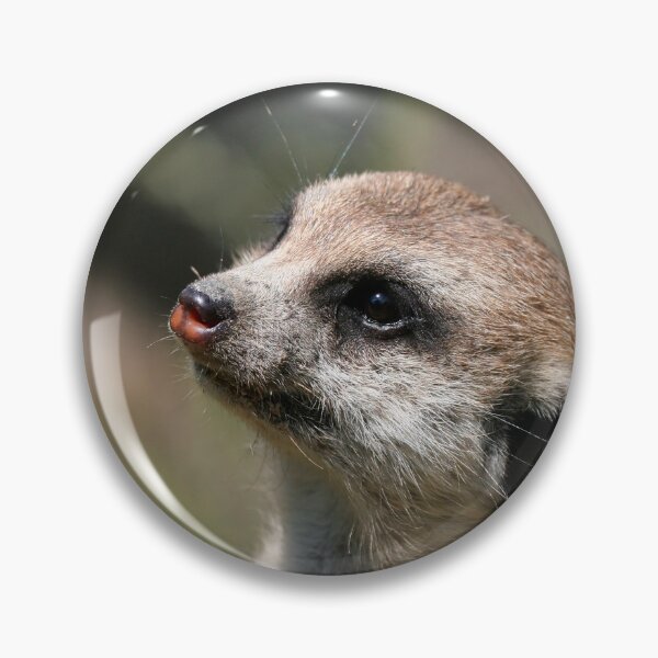 Item preview, Meerkat 014 designed and sold by JAMFoto.