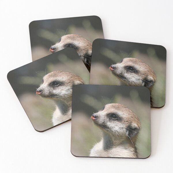 Item preview, Meerkat 014 designed and sold by JAMFoto.