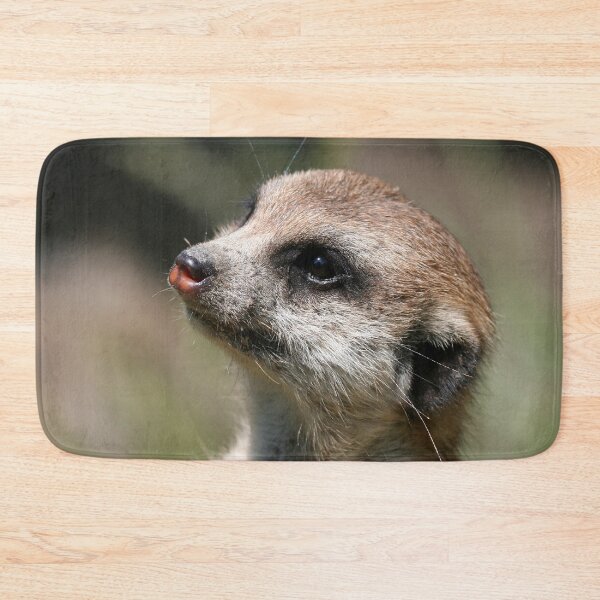 Item preview, Meerkat 014 designed and sold by JAMFoto.