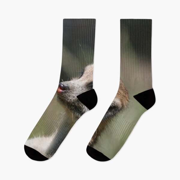 Item preview, Meerkat 014 designed and sold by JAMFoto.