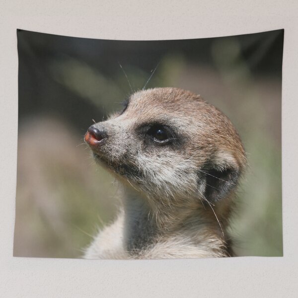 Item preview, Meerkat 014 designed and sold by JAMFoto.