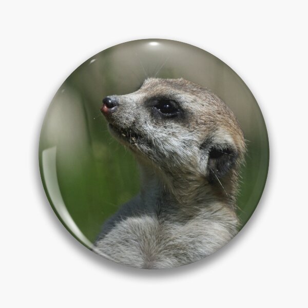 Item preview, Meerkat 015 designed and sold by JAMFoto.