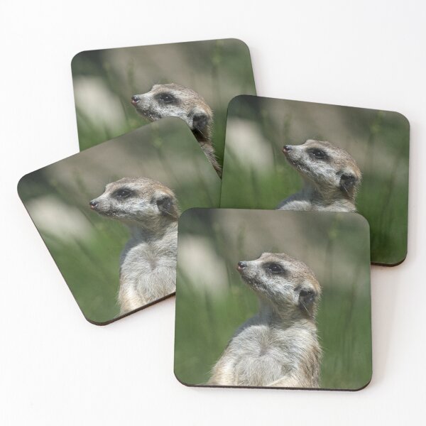 Item preview, Meerkat 015 designed and sold by JAMFoto.