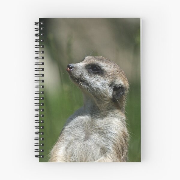 Item preview, Meerkat 015 designed and sold by JAMFoto.