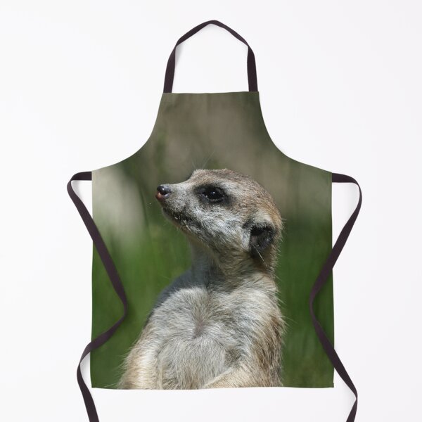 Item preview, Meerkat 015 designed and sold by JAMFoto.