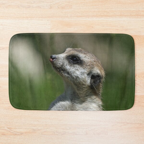 Item preview, Meerkat 015 designed and sold by JAMFoto.