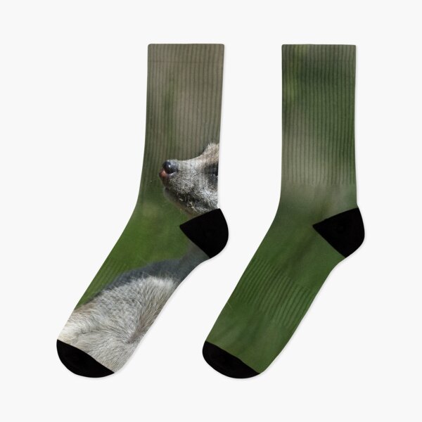 Item preview, Meerkat 015 designed and sold by JAMFoto.