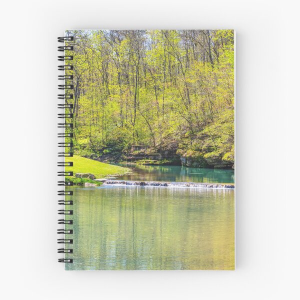 Item preview, Relaxing At Dogwood Creek designed and sold by mljdwhite.