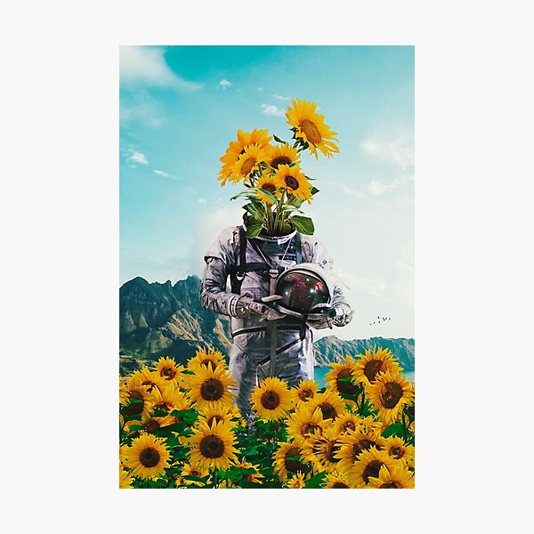 The Adaptation Photographic Print