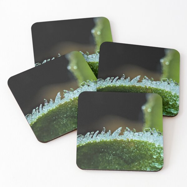 Item preview, Gentle iced Leaf designed and sold by Kafue.