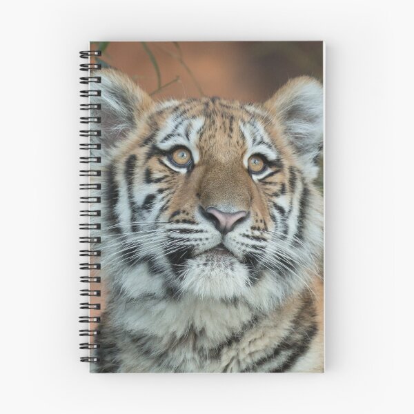 Item preview,    tiger canvas,tiger,animal, animals,tiger wall art,tiger artwork,tigers,wild,tiger art,tiger painting, designed and sold by eyesight4vision.
