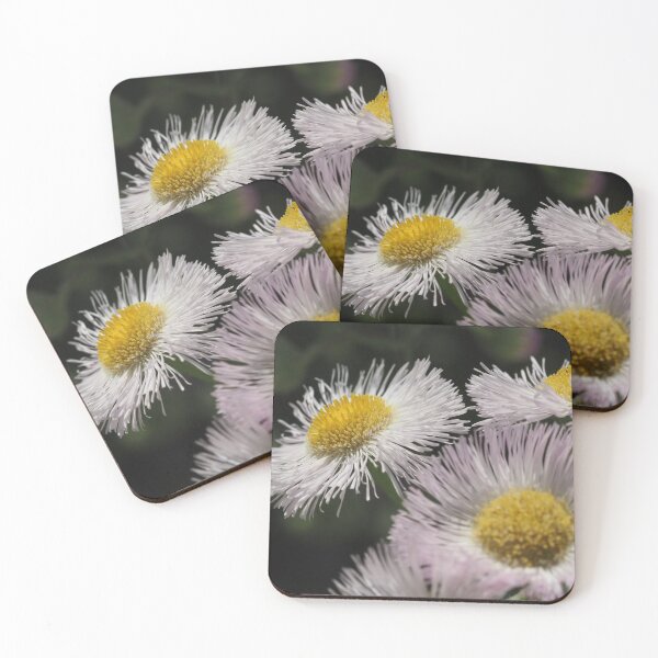 Item preview, Tall For a Daisy 2 designed and sold by litwphoto.