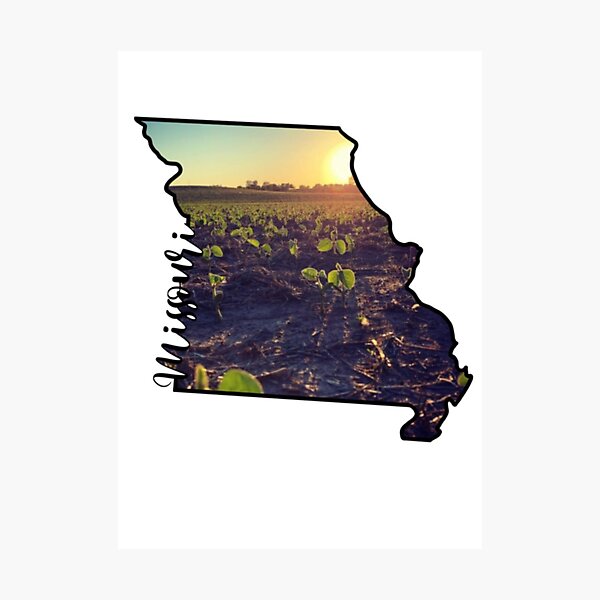 Item preview, Missouri State designed and sold by sh3lbymac.