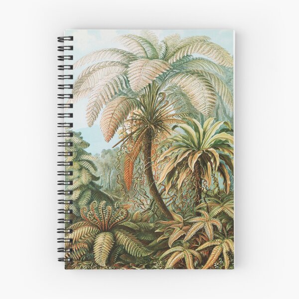 Item preview, Artforms in Nature - Filicinae–Laubfarne by Ernst Haeckel designed and sold by Freewheeling.