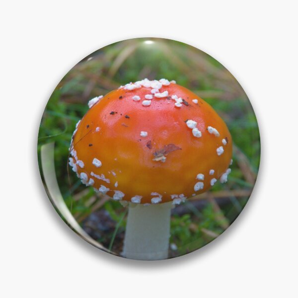 Item preview, Toadstool designed and sold by Babbler01.