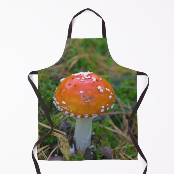 Item preview, Toadstool designed and sold by Babbler01.