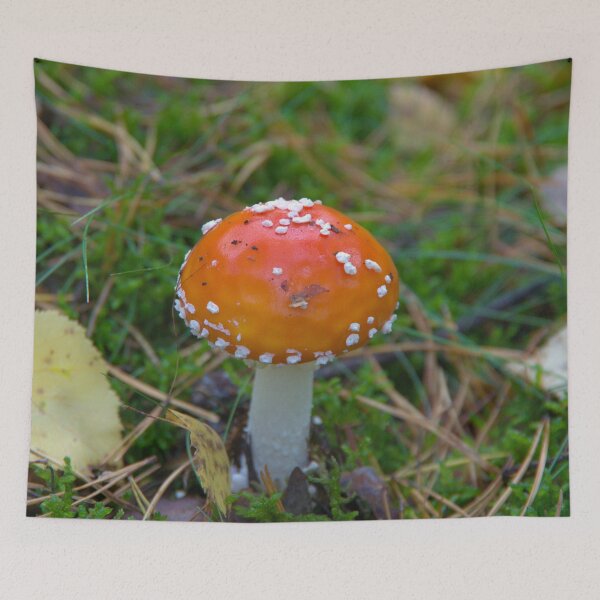 Item preview, Toadstool designed and sold by Babbler01.