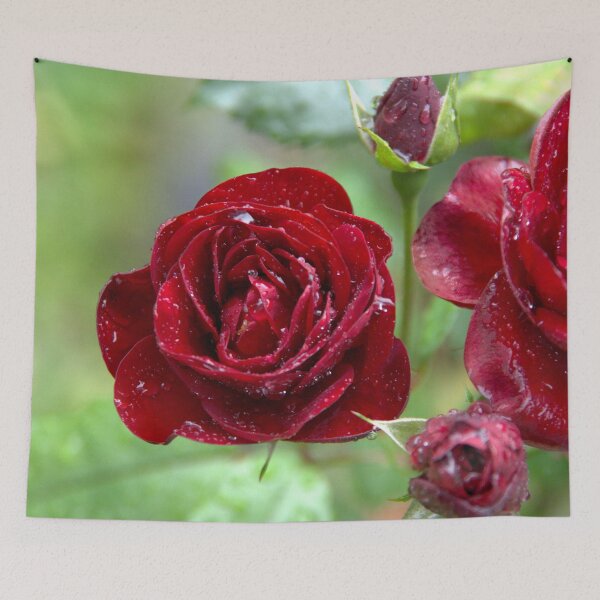 Item preview, After the rain designed and sold by Babbler01.
