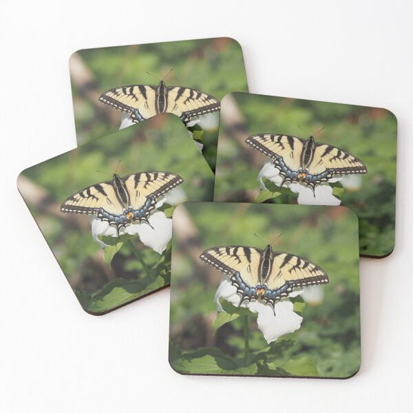 Item preview, Tiger Swallowtail on Trillium designed and sold by litwphoto.