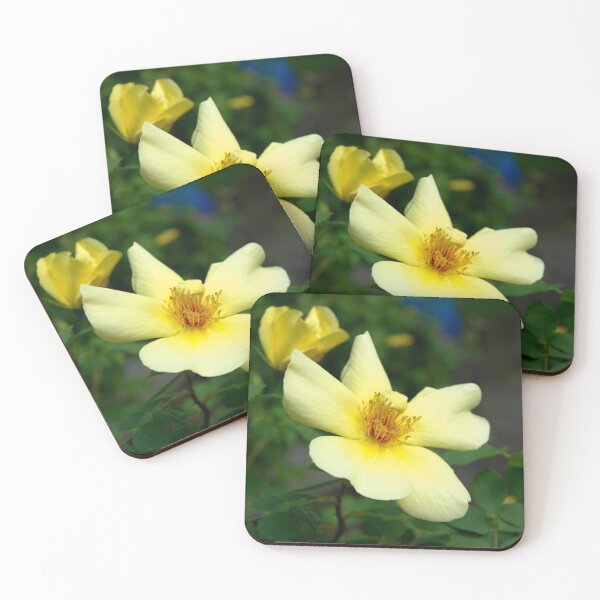 Item preview, Yellow roses designed and sold by Babbler01.