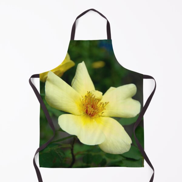 Item preview, Yellow roses designed and sold by Babbler01.