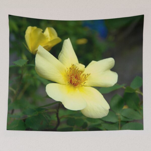 Item preview, Yellow roses designed and sold by Babbler01.