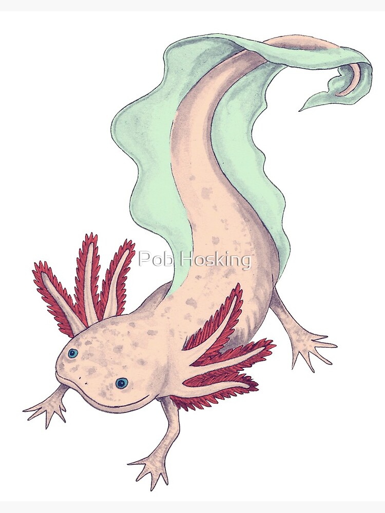 AXOLOTL PLUSH TOY,SOFT Cute Axolotl Stuffed Animal Salamander Axolotl
