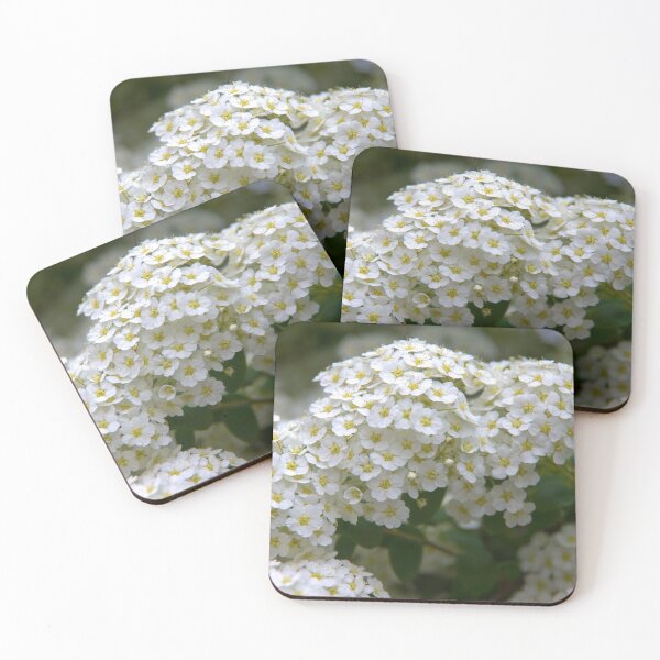Item preview, spring designed and sold by Babbler01.
