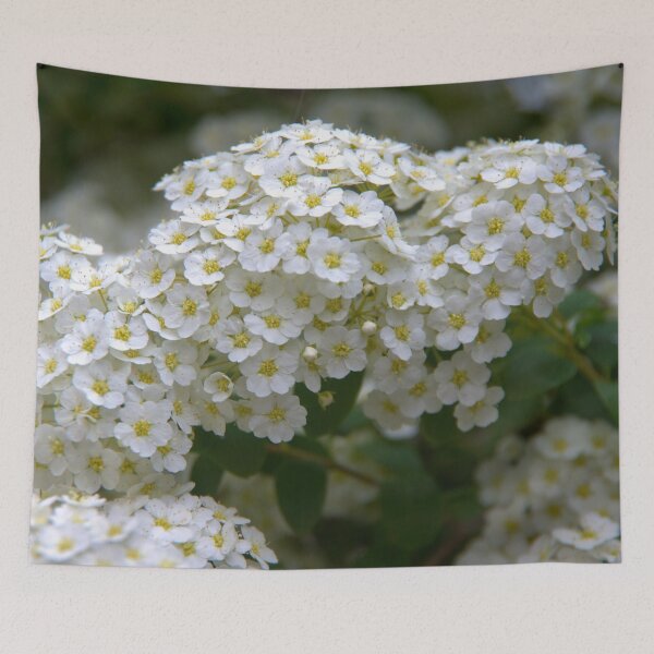 Item preview, spring designed and sold by Babbler01.