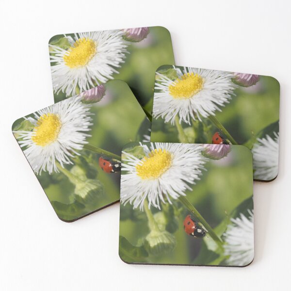 Item preview, Ladybird designed and sold by litwphoto.