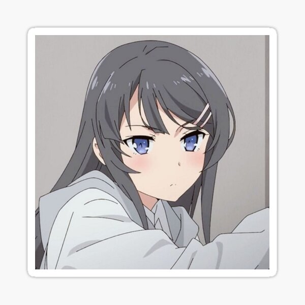 Seishun Buta Yarou wa Bunny Girl Senpai no Yume o Minai - Baka