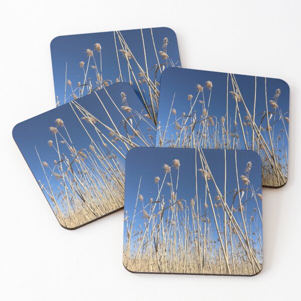 Item preview, Yellow reeds against deep blue sky designed and sold by DeliriousSteve.