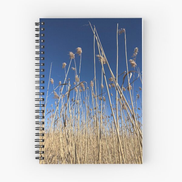 Item preview, Yellow reeds against deep blue sky designed and sold by DeliriousSteve.