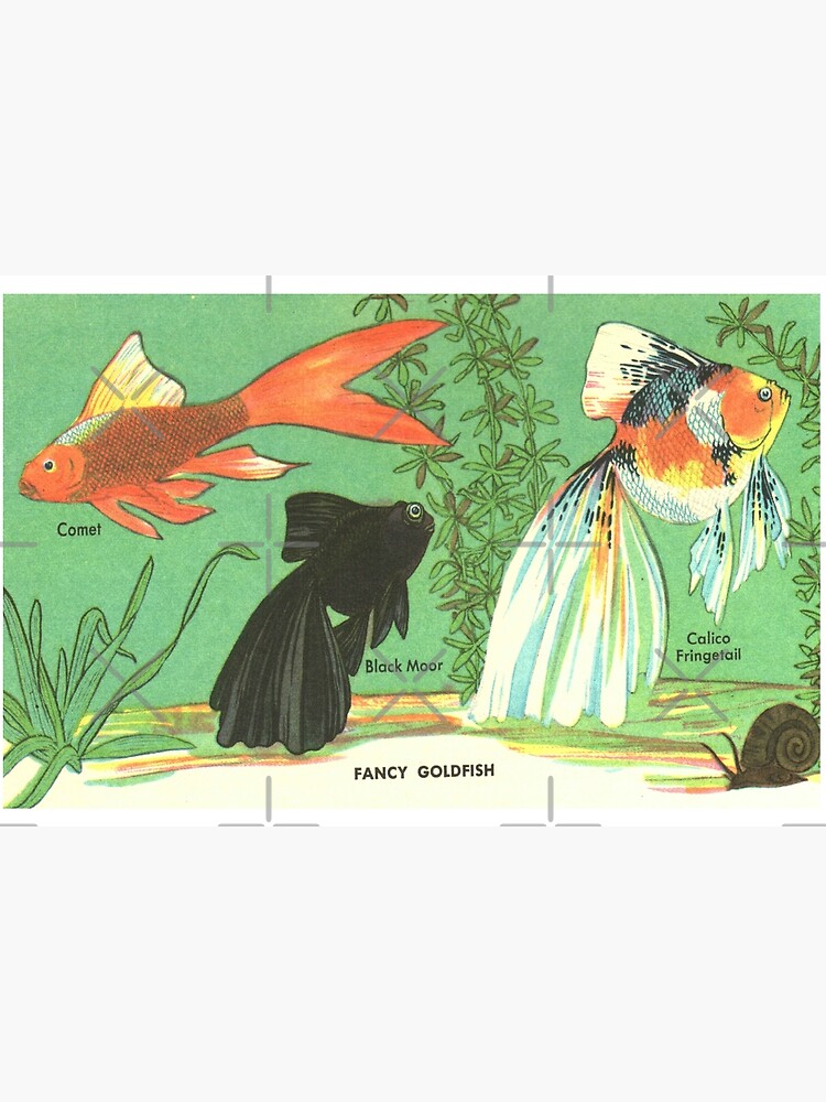 Fancy Goldfish - Vintage Retro Aquarium Illustration by elevens