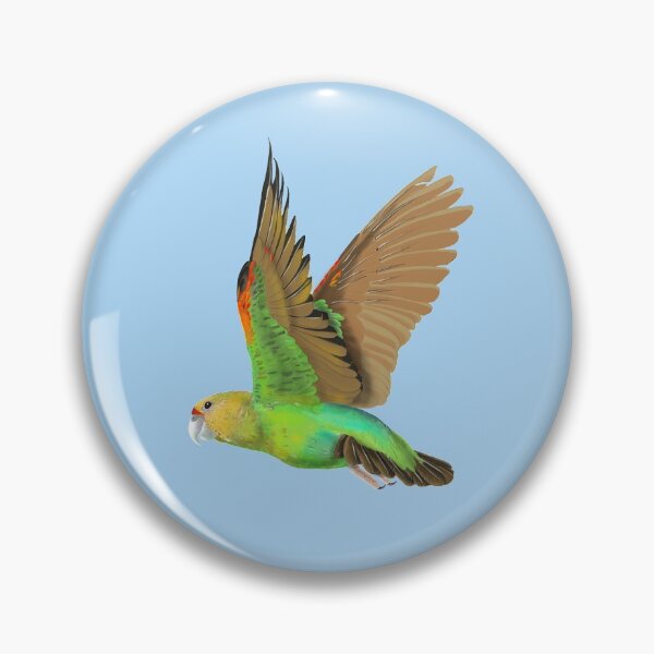 Item preview, Cape Parrot Flying 1 (series of 3) designed and sold by pjlatasdvm.