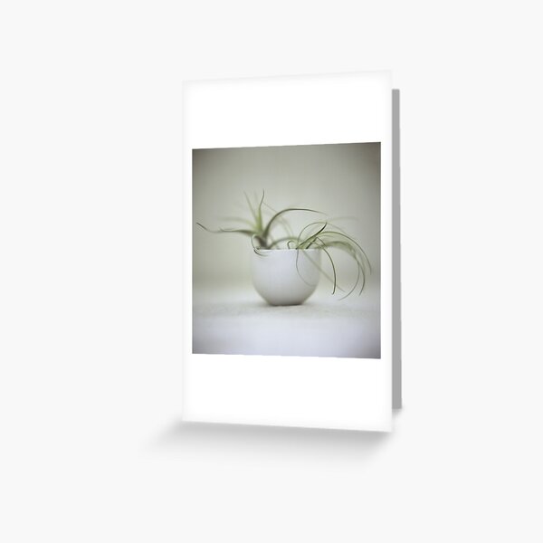 Item preview, object study 1 designed and sold by sueham.
