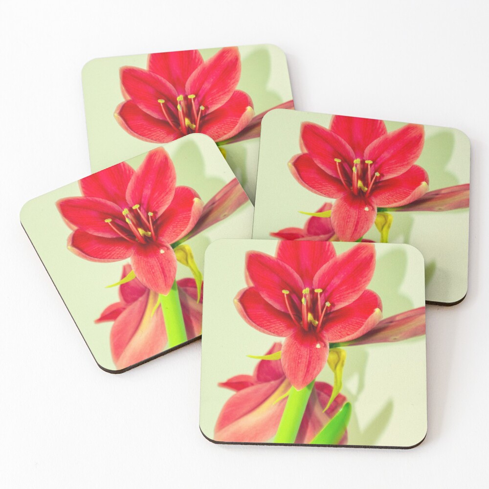 Item preview, Coasters (Set of 4) designed and sold by Ruthie33.