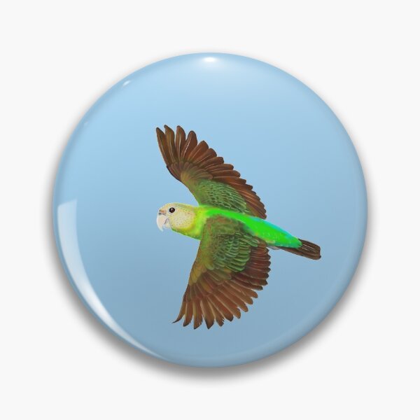 Item preview, Cape Parrot Flying 2 (#2 in series of 3) designed and sold by pjlatasdvm.