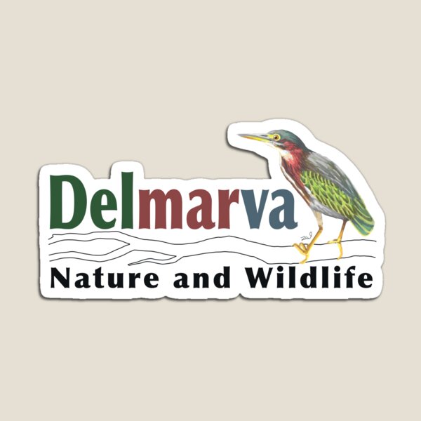 Item preview, Delmarva Nature and Wildlife designed and sold by DelmarvaNature.