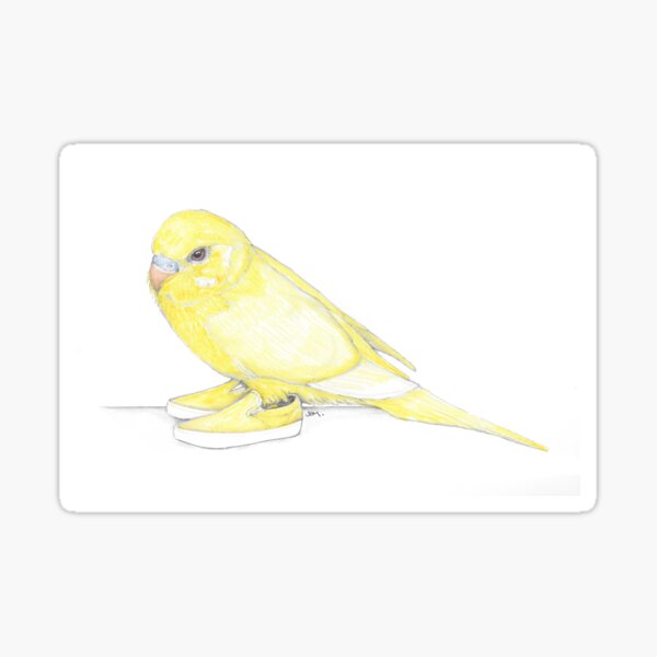 Item preview, Yellow Parakeet in Sneakers designed and sold by JimsBirds.