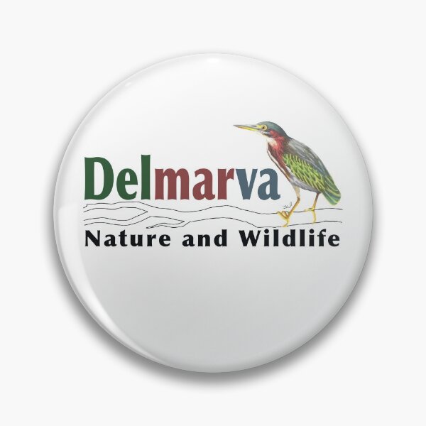 Item preview, Delmarva Nature and Wildlife designed and sold by DelmarvaNature.