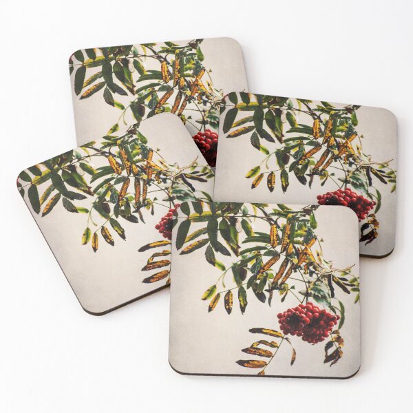 Item preview, So Much More Outside designed and sold by Denise Abé.