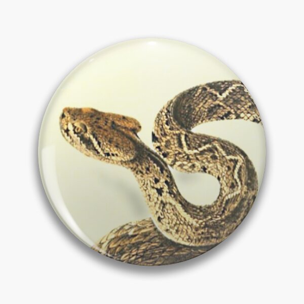 Item preview, Rattlesnake by John Edwards Holbrook from his book, "North American Herpetology - A description of the reptiles inhabiting the United States" (between 1836 - 1840) designed and sold by IridescentSea.