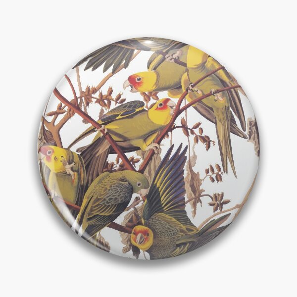 Item preview, Carolina Parakeet Audubon Vintage Bookplate designed and sold by Candice Davis.
